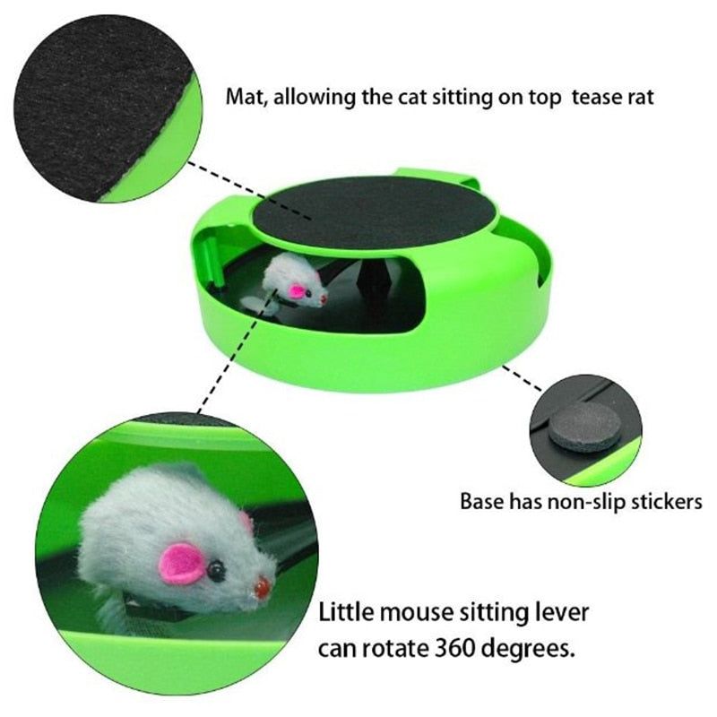 Crazy Cat Training Toy