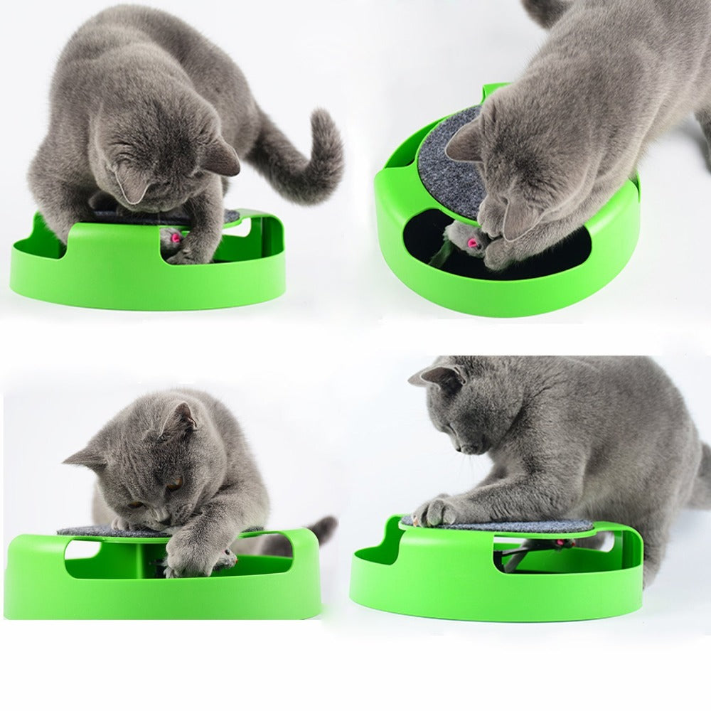 Crazy Cat Training Toy