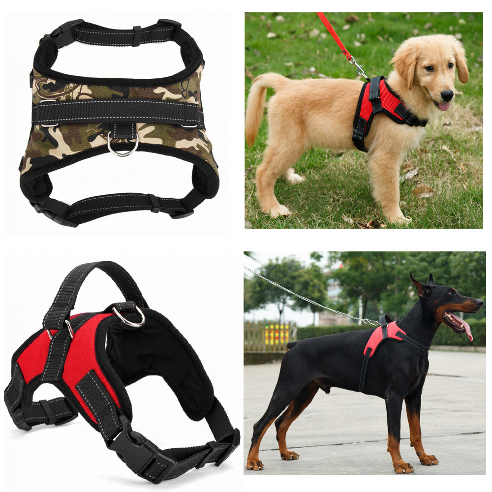 Dog Harness Padded with Hand Strap