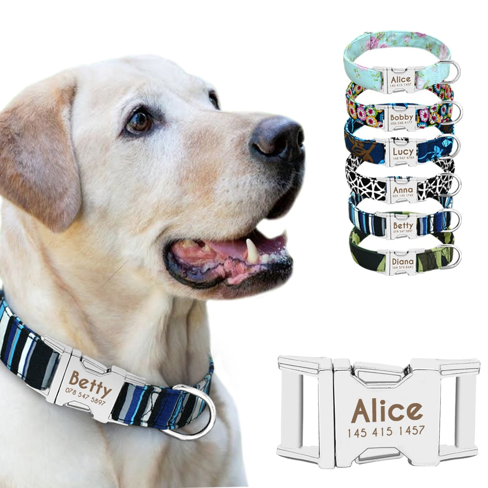 Dog Collar Personalized