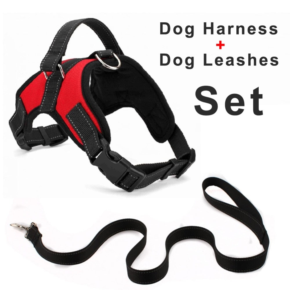 Dog Harness + 120cm Leash Set