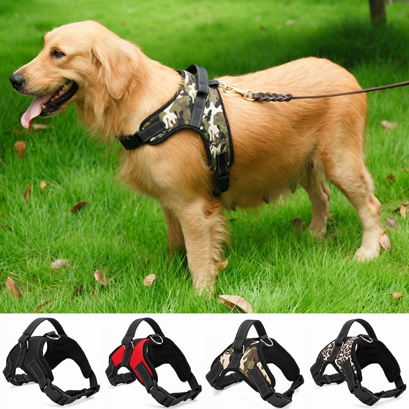 Dog Harness + 120cm Leash Set