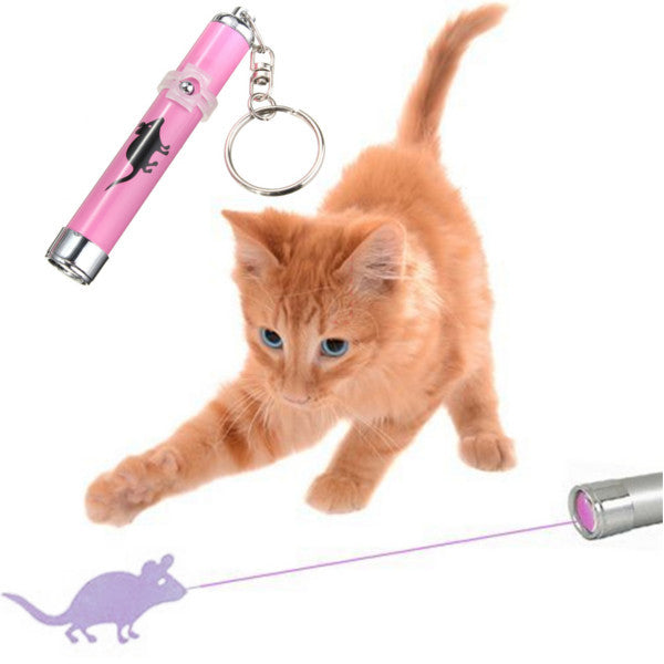 Crazy Cat Mouse Laser