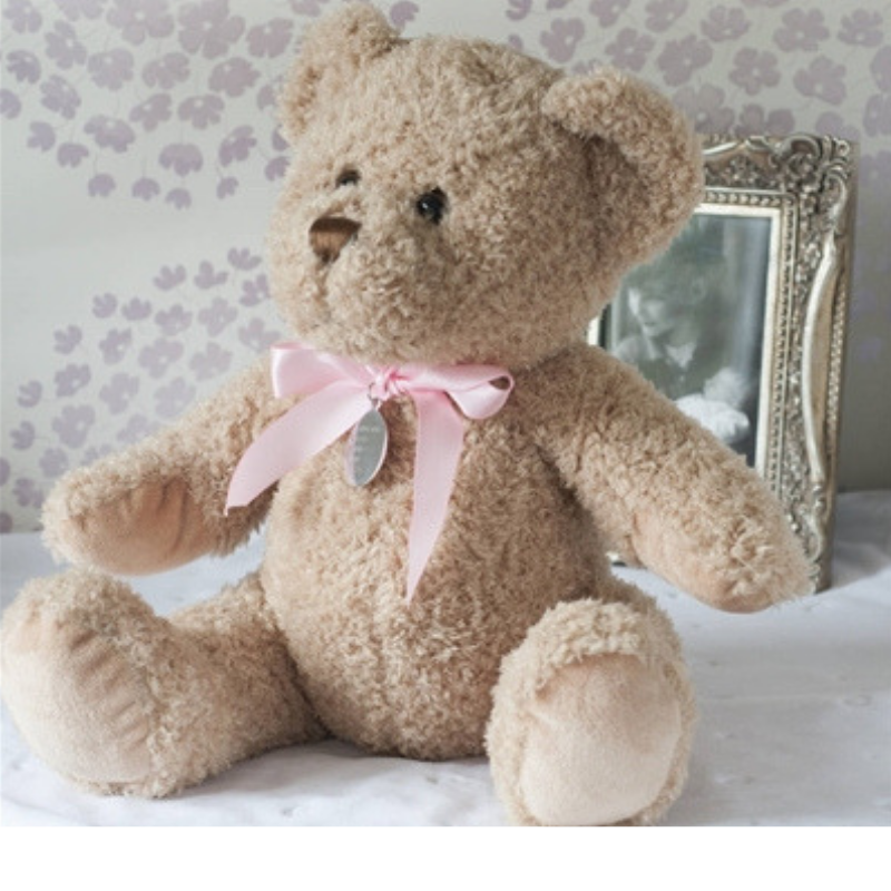 Baby Girl Personalised Bramble Bear