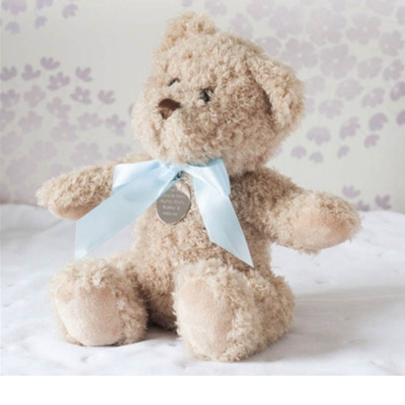 Baby Boy Personalised Bramble Bear