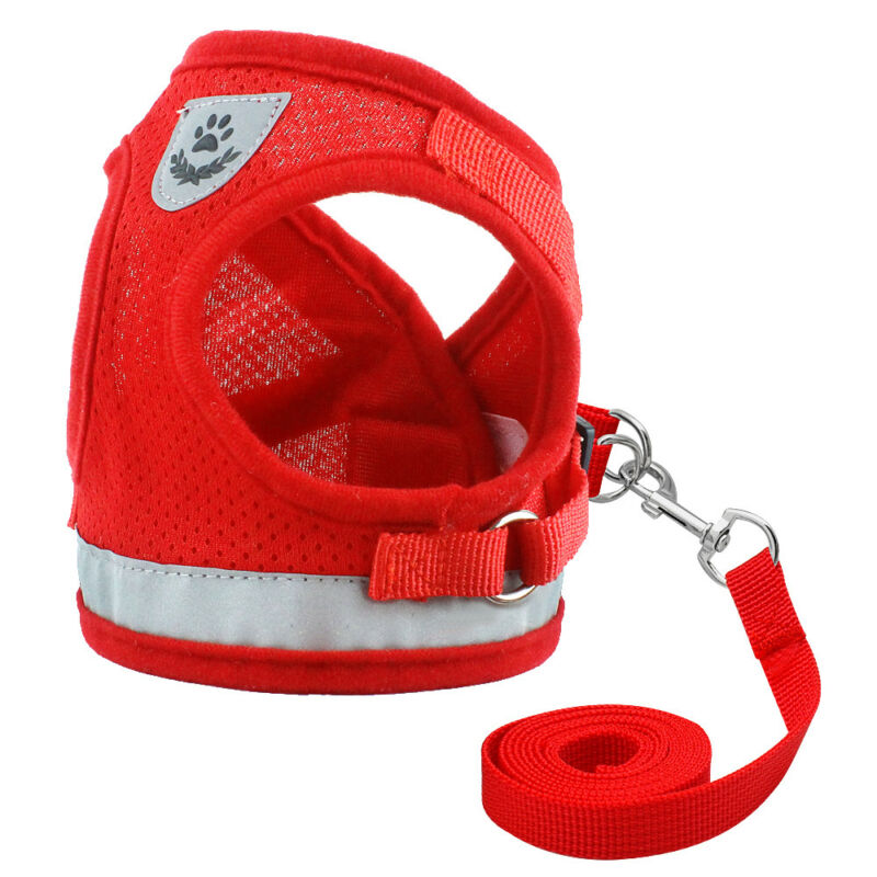 Cat Harness with Adjustable Leash