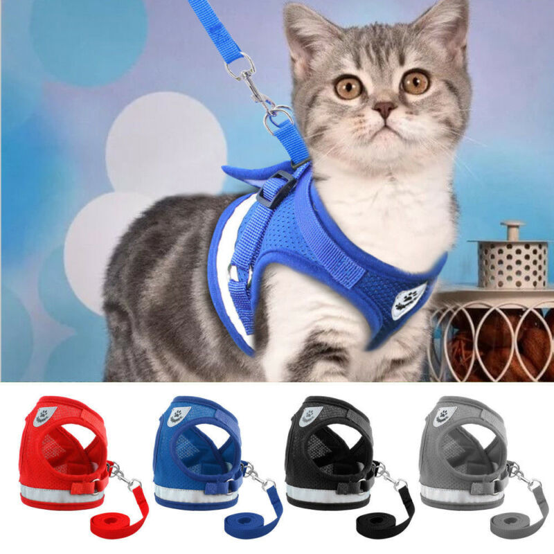 Cat Harness with Adjustable Leash